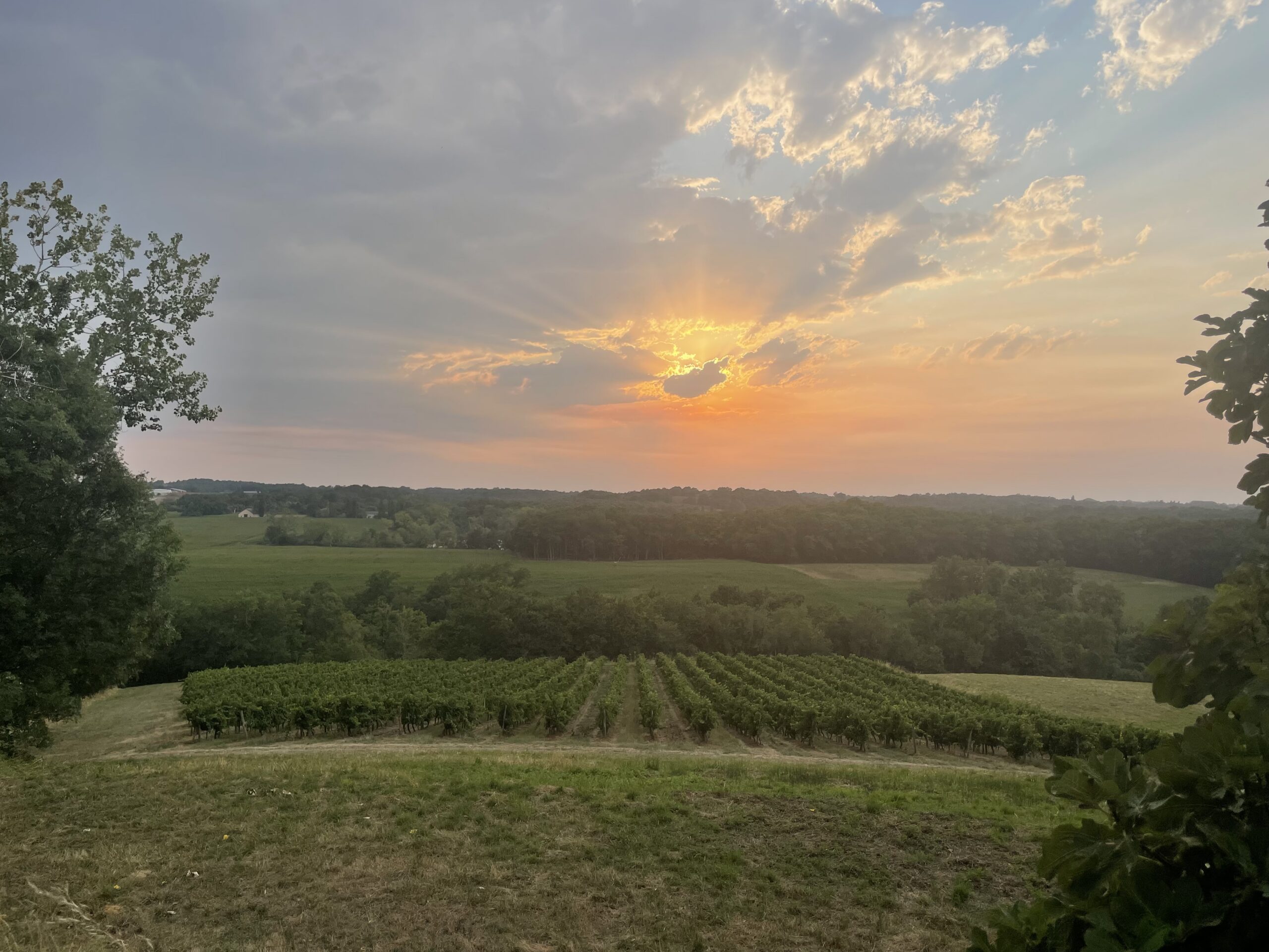 Lumière du soleil couchant sur les champs et les coteaux du Quercy
